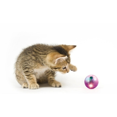 Flashing Light ABS EVA Cute Pet Toys Interactive Rolling Ball Hollow Sound